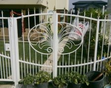 img-20161213-wa0007